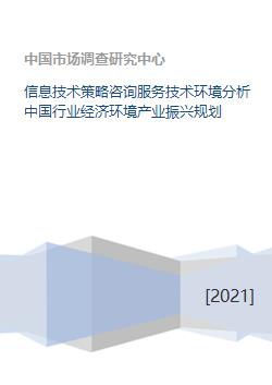 信息技术策略咨询服务在中国行业经济环境下的技术环境分析与产业振兴规划