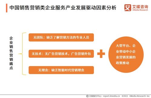 2021上半年中国企业服务专题研究报告 信息咨询服务的发展与变革